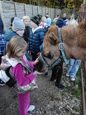 Wycieczka do farmy dyń Dobronianka